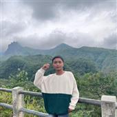 Gi