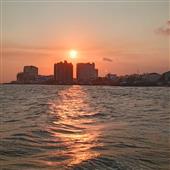 Tại