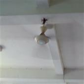 Be