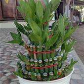 Thứ 