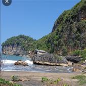 Rồng
