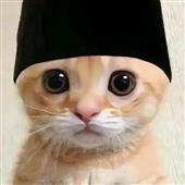 Xe