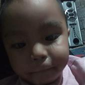 Ứng 