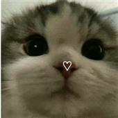 Cl
