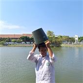 Rồng