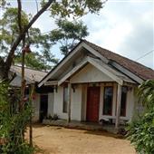 Tướn