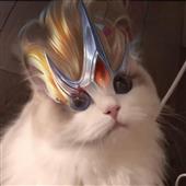 bng 