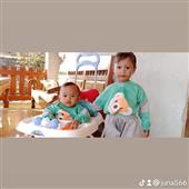 Kèo 