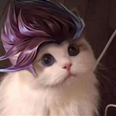 Ch