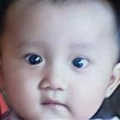 Dự b