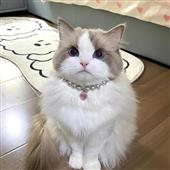 Độ