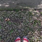 Vậ