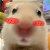 Tr