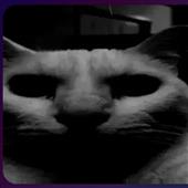 Rù