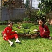 Thể