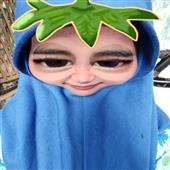 Bảng