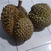 Ch