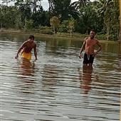Cầu 