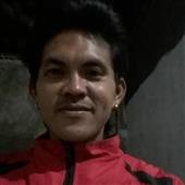 Bò V
