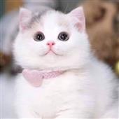 Be