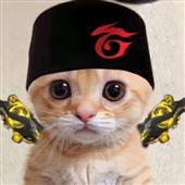 Cư