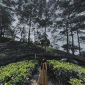 Bắ