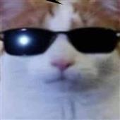 Cu