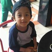 Luật