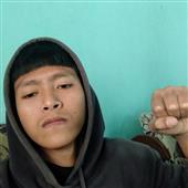 Rồ