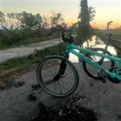 Mậ
