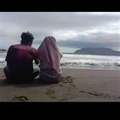 Truy