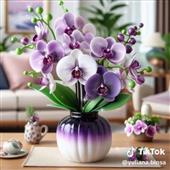 ốc