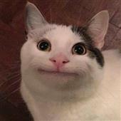 Đoán