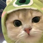 Cú đ