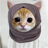 Câ