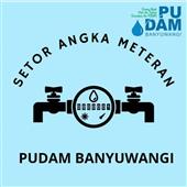 Bả