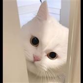 BIẾN