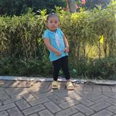 Dự đ