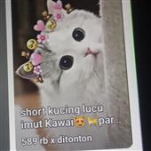 MÚ