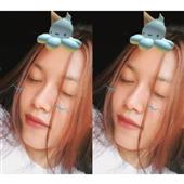 tố l