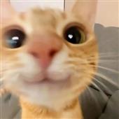 Ga