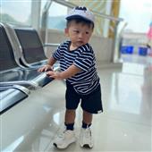 Việt