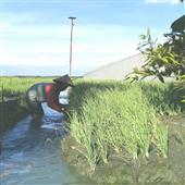 Quý 