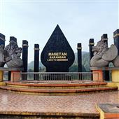 Trực