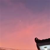 Cờ