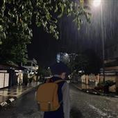 Trực