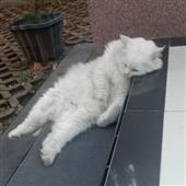 Nă