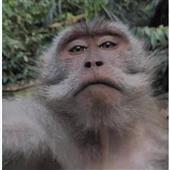 Câ