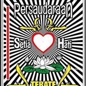 Husa
