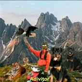 Đo